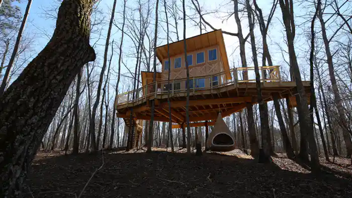 樹上のモダンハウス