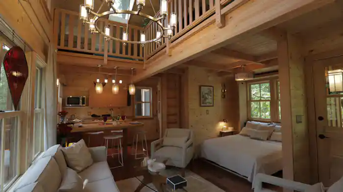 「スイスのロビンソン」でサプライズ