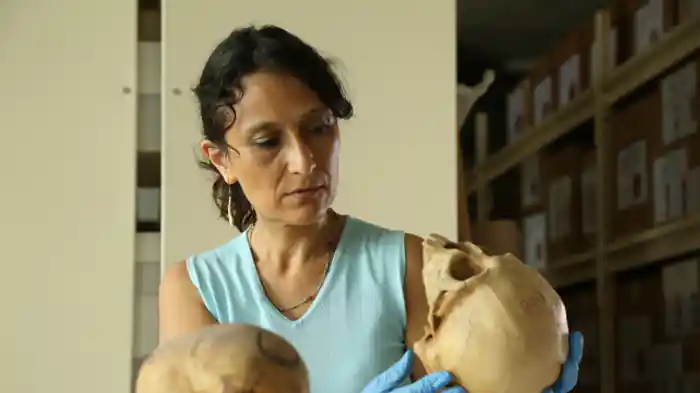 ナスカの地上絵