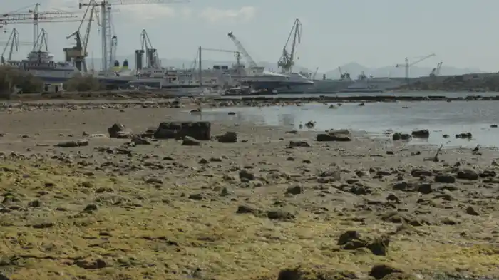 テルモピュライの戦い