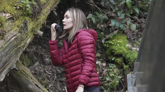 恐怖のアパラチア山脈 