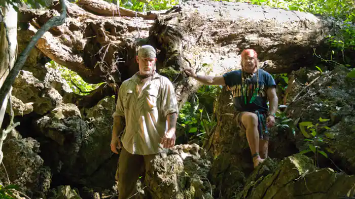 タイのジャングル