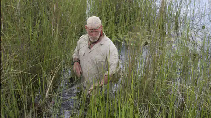 オカバンゴ湿地