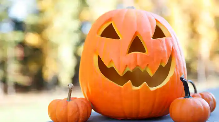 ハロウィン用お菓子