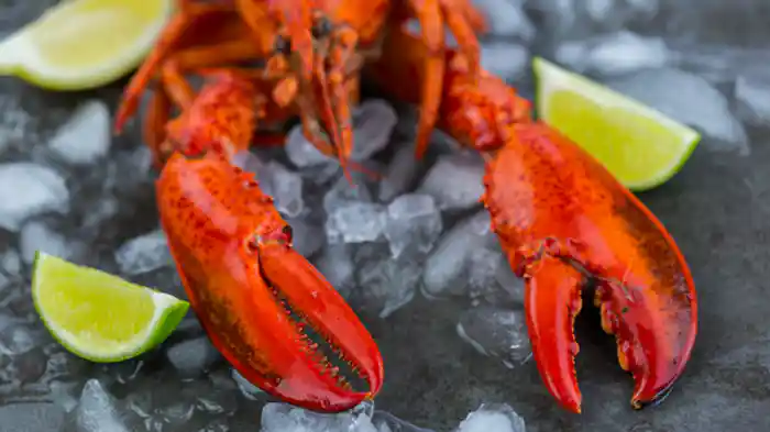 ロブスター三昧