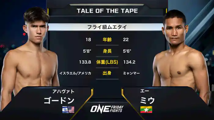 アハヴァト・ゴードン vs. エー・ミウ