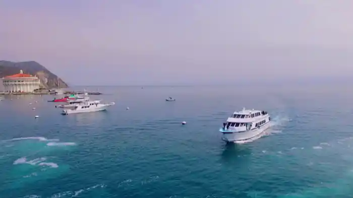 カタリナ島決戦