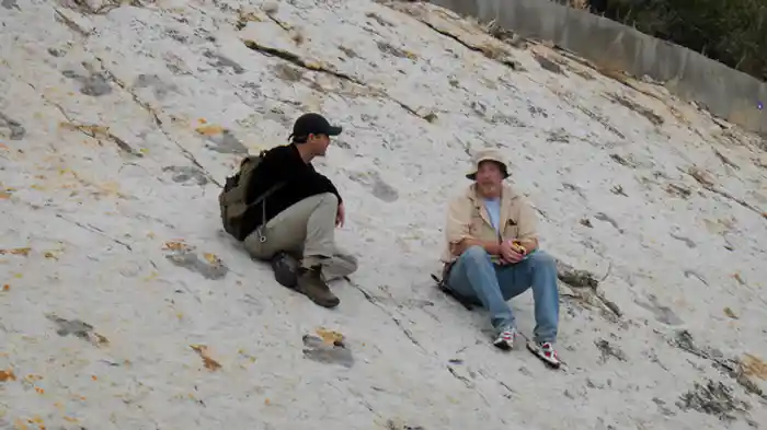 恐竜の引っかき傷