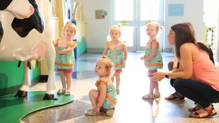 価値観の育て方