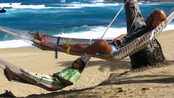 プエルトリコを喰らう