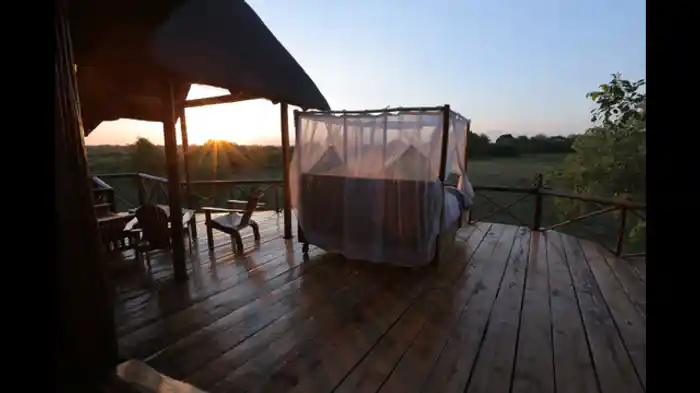 キリン観察に最適な家