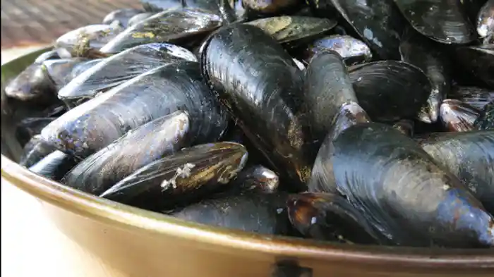 焼きクラムチャウダー