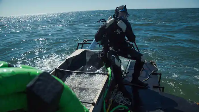 新シーズン開幕