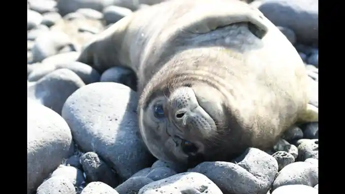 自然の守り人と共に