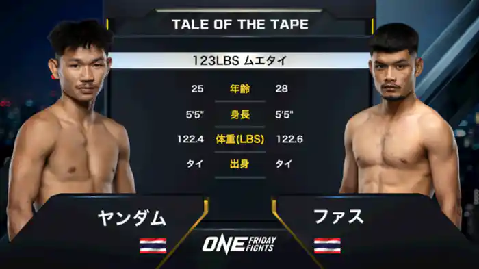 ヤンダム vs. ファス