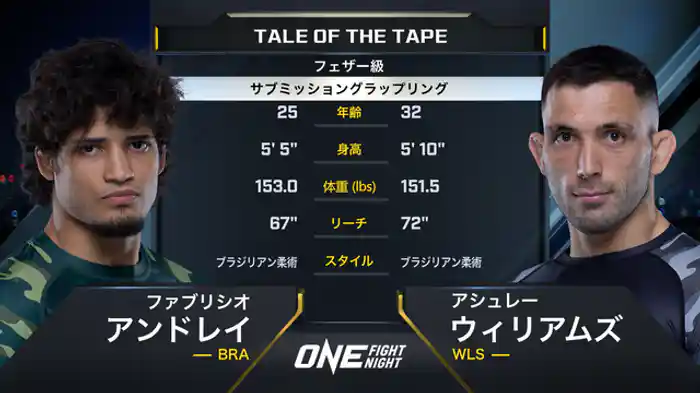 ファブリシオ・アンドレイ vs. アシュレー・ウィリアムス