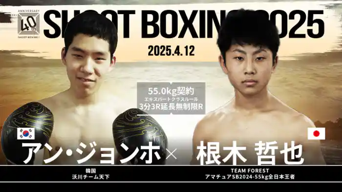 根木哲也 vs. アン・ジョンホ