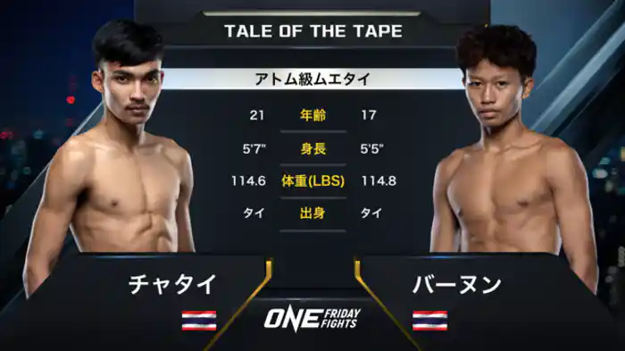 チャタイ vs. バーヌン