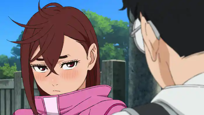 家を建て直したい