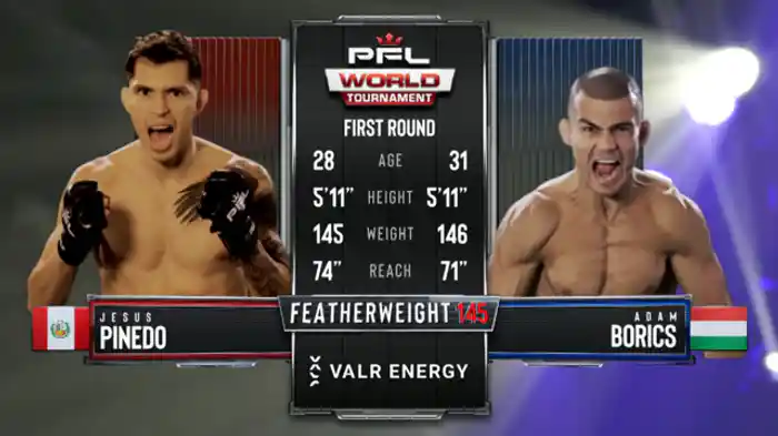 ヘスス・ピネド vs. アダム・ボリッチ