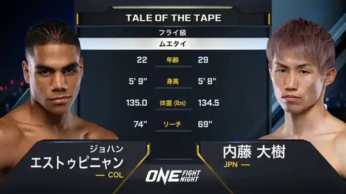 ジョハン・エストゥピニャン vs. 内藤大樹