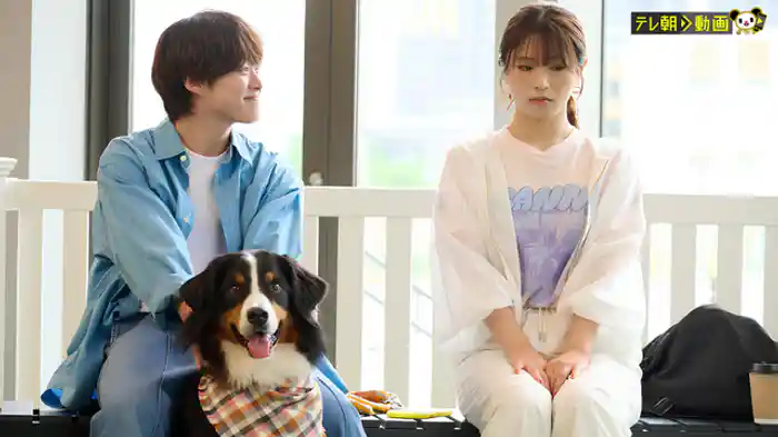 好きになんかならない