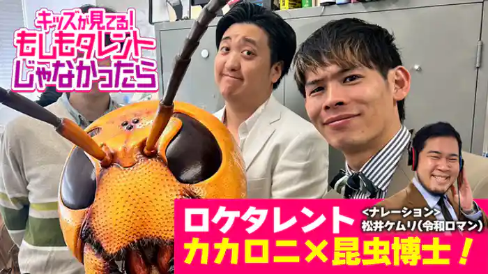 カカロニ×昆虫博士