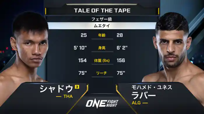 シャドウ vs. モハメド・ユネス・ラバー