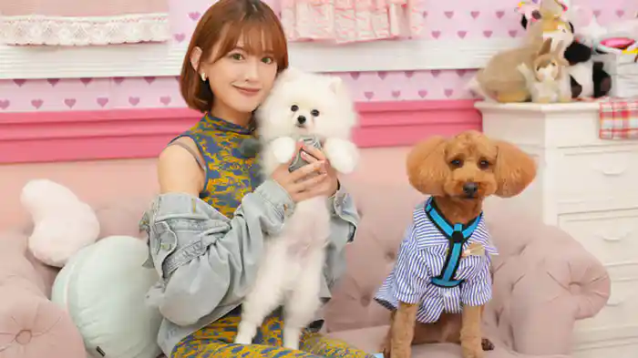 新シリーズスタート!家族でお出掛け