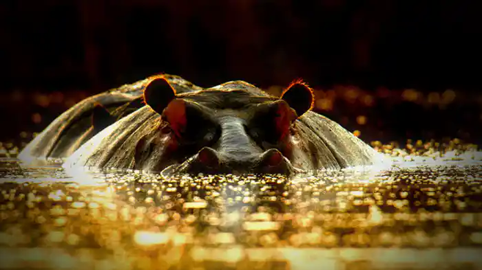 暴かれた獣の正体