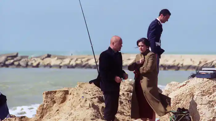 猫とゴシキヒワ