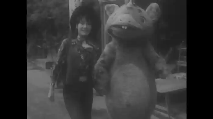 ブースカの名ガイド