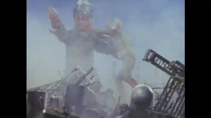 絶望!売られたジャンセスナ