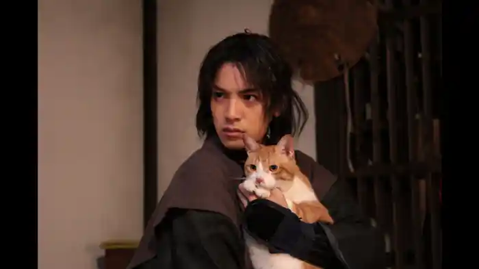 「猫」と「金魚」！？