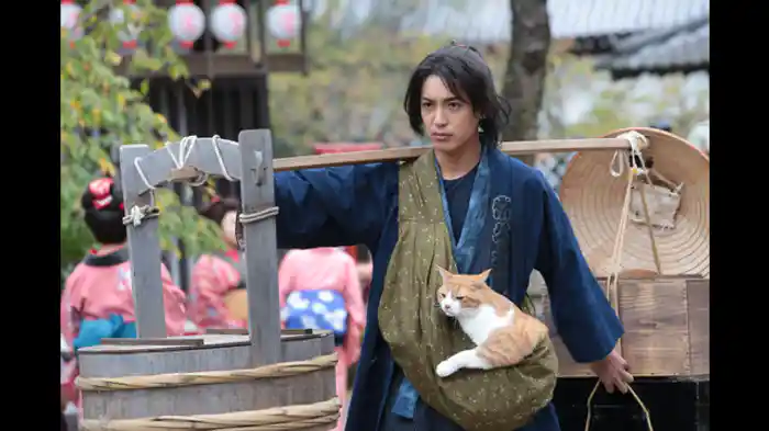 「猫」は「友達」！？