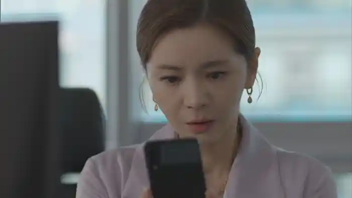 チョナ財閥を狙う者