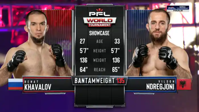 レナト・ハヴァロフ vs. ヴィルソン・ジレジョニ