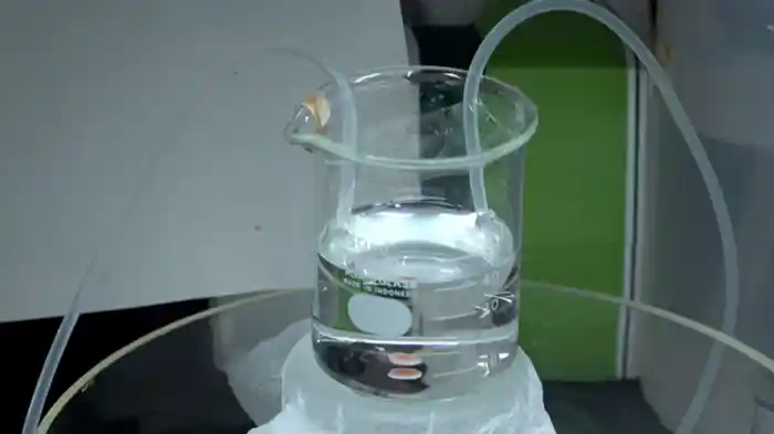 生命現象の原理を知りたい 生物と無生物とを分けるもの