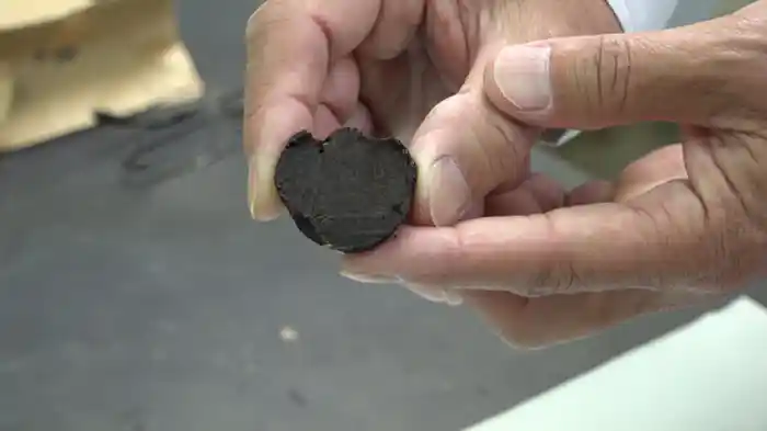 世界三大珍味を日本でつくる 科学で実現をめざす新たな食