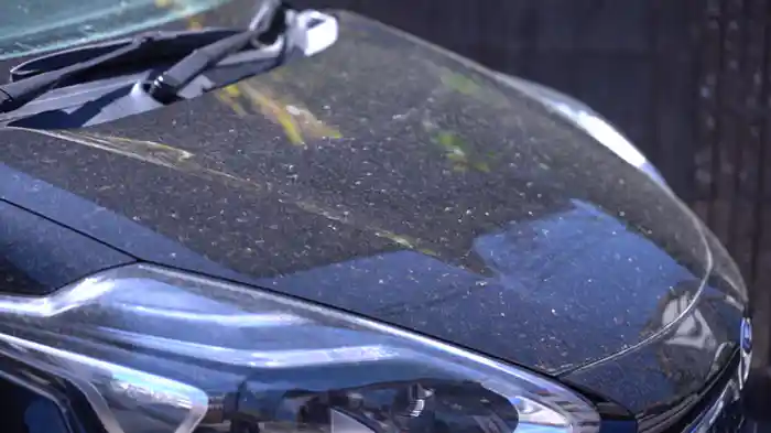 黄砂は悪者か?微細な粒子がもたらす被害と恵み