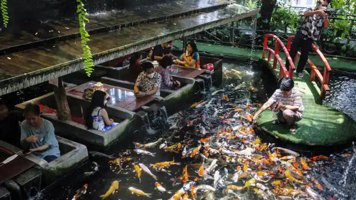 尖ったコンセプト！