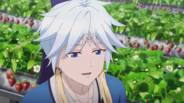 思い出のティラミス。