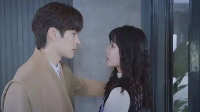 不思議な共通点