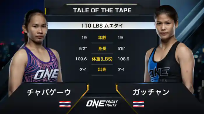 チャバゲーウ vs. ガッチャン・フェアテックス