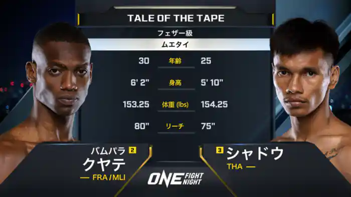 バムパラ・クヤテ vs. シャドウ