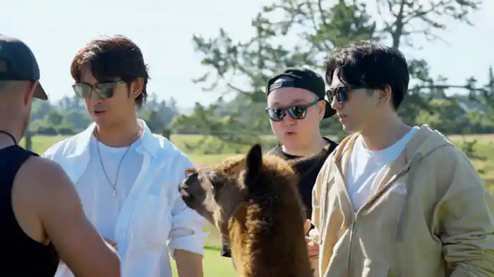 Guest:真剣佑&ワイルドライフ