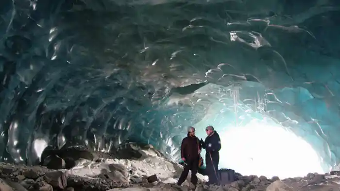 エイリアン感染