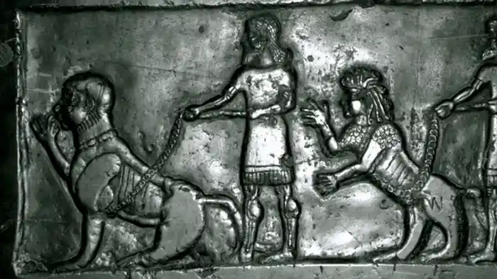 遺伝子操作計画