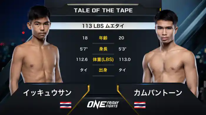 イッキュウサン vs. カムパントーン