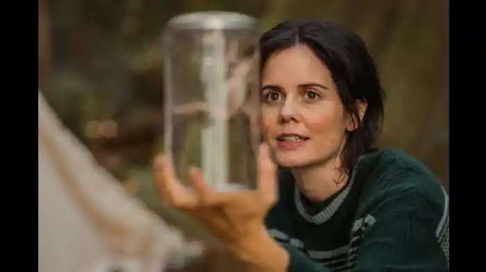 カエルの鳴き声